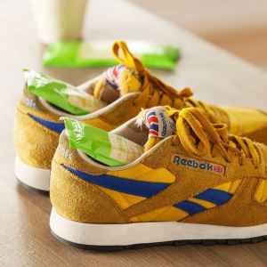 Absorbente de humedad del zapato natural