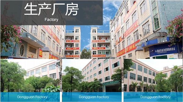 Dongguan Chunwang Informe de Auditoría Resumida 2020 (BSCI)